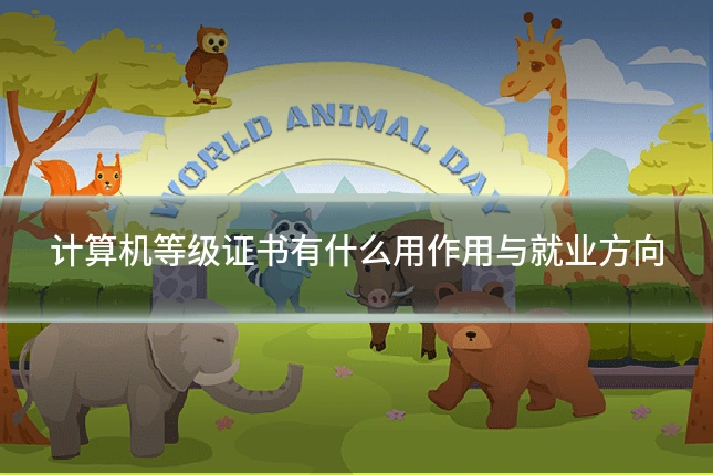计算机等级证书有什么用作用与就业方向