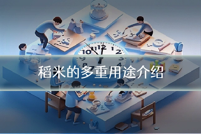 稻米的多重用途介绍