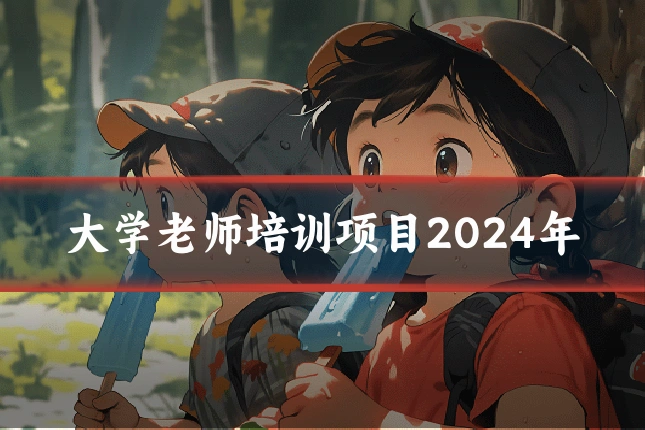 大学老师培训项目2024年