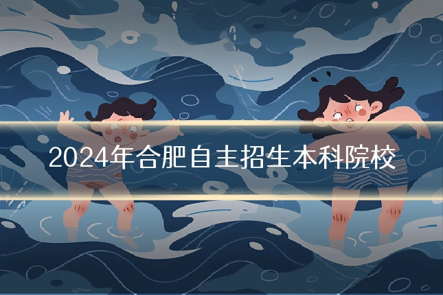 2024年合肥自主招生本科院校
