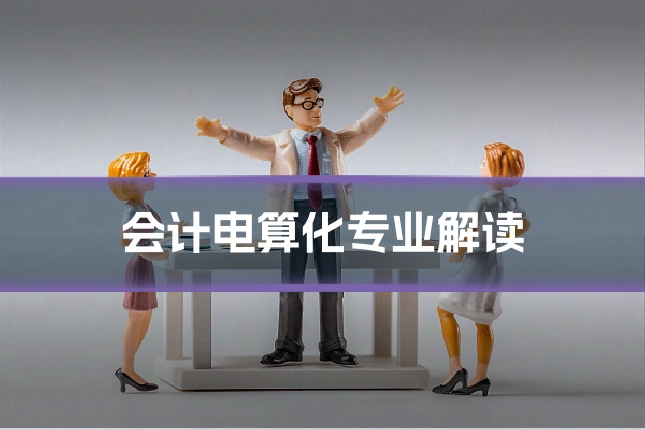 会计电算化专业解读