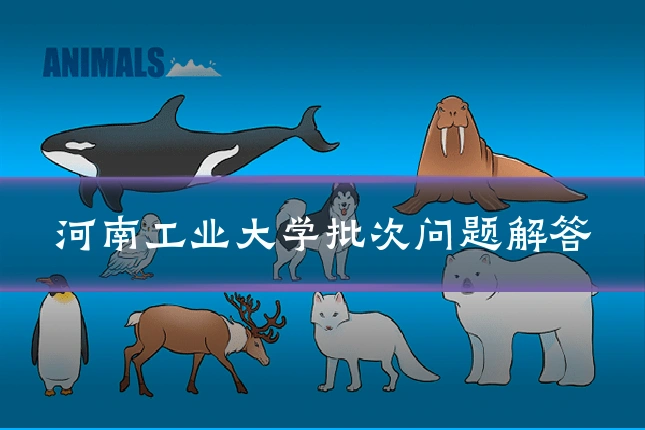 河南工业大学批次问题解答