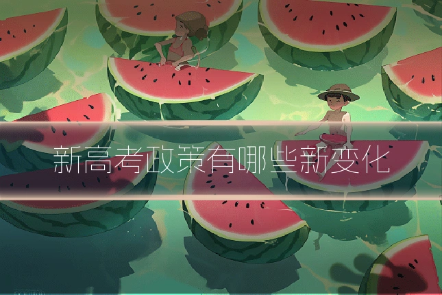新高考政策有哪些新变化
