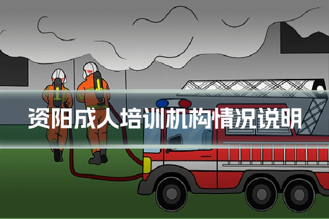 资阳成人培训机构情况说明