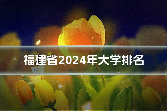 福建省2024年大学排名