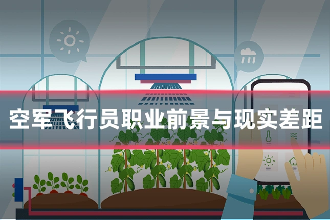 空军飞行员职业前景与现实差距