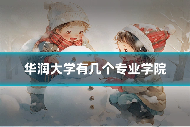 华润大学有几个专业学院