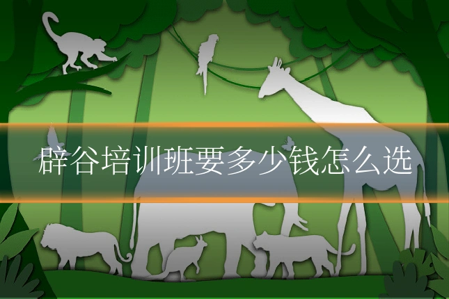 辟谷培训班要多少钱怎么选