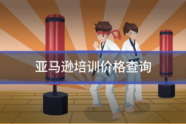 亚马逊培训价格查询