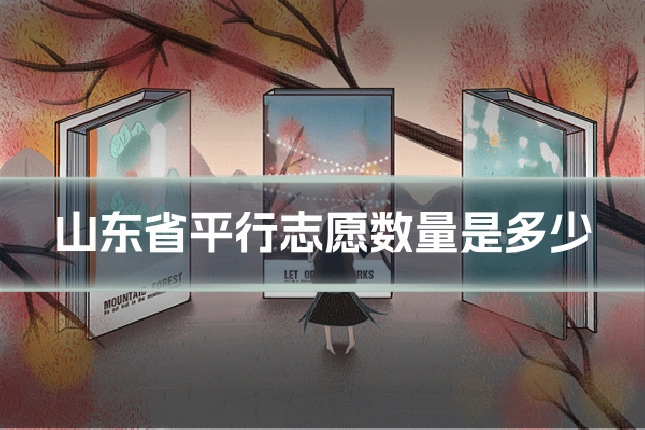 山东省平行志愿数量是多少