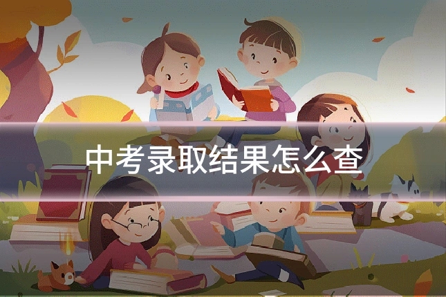 中考录取结果怎么查