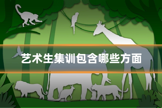 艺术生集训包含哪些方面