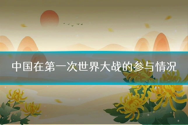 中国在第一次世界大战的参与情况
