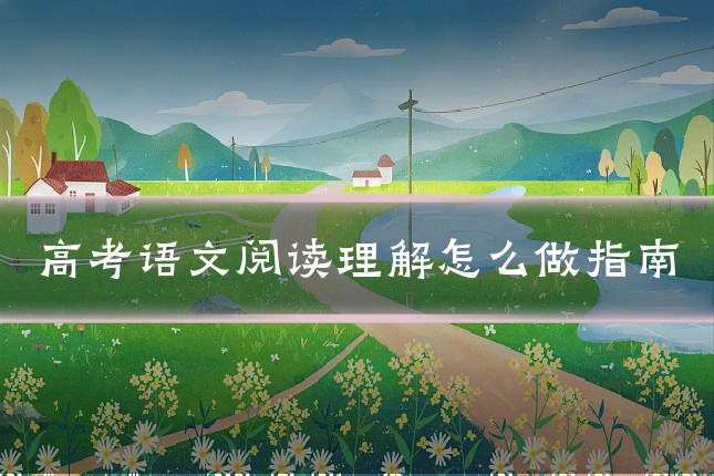 高考语文阅读理解怎么做指南