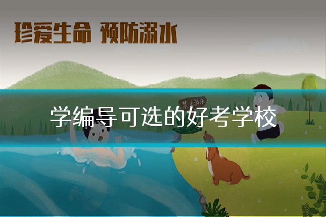学编导可选的好考学校