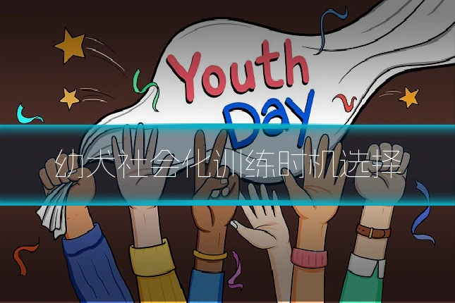 幼犬社会化训练时机选择