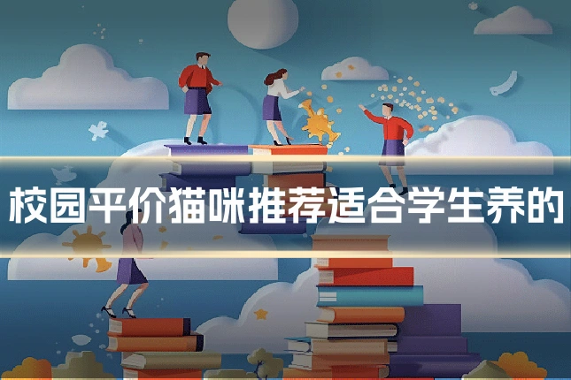 校园平价猫咪推荐适合学生养的