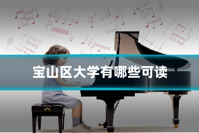 宝山区大学有哪些可读