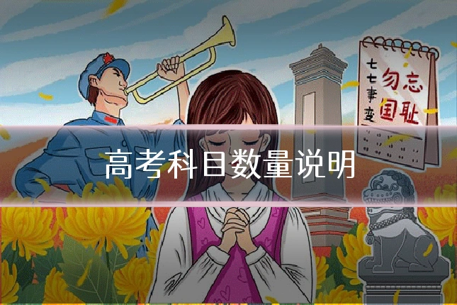高考科目数量说明