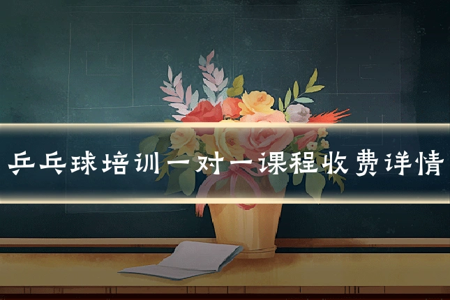 乒乓球培训一对一课程收费详情