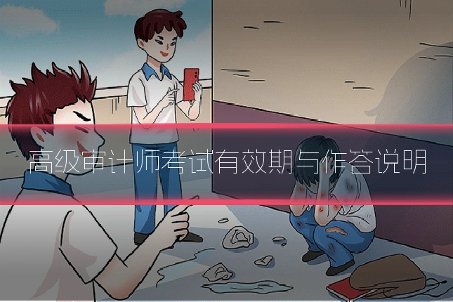 高级审计师考试有效期与作答说明