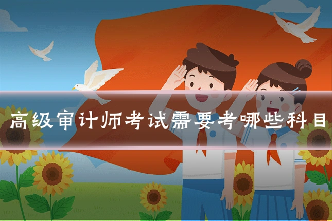 高级审计师考试需要考哪些科目