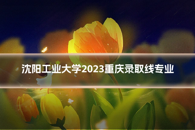 沈阳工业大学2023重庆录取线专业