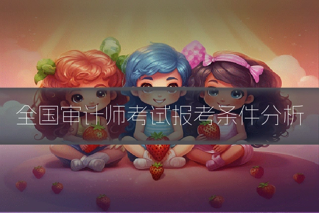 全国审计师考试报考条件分析