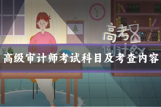 高级审计师考试科目及考查内容