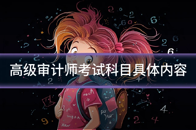 高级审计师考试科目具体内容