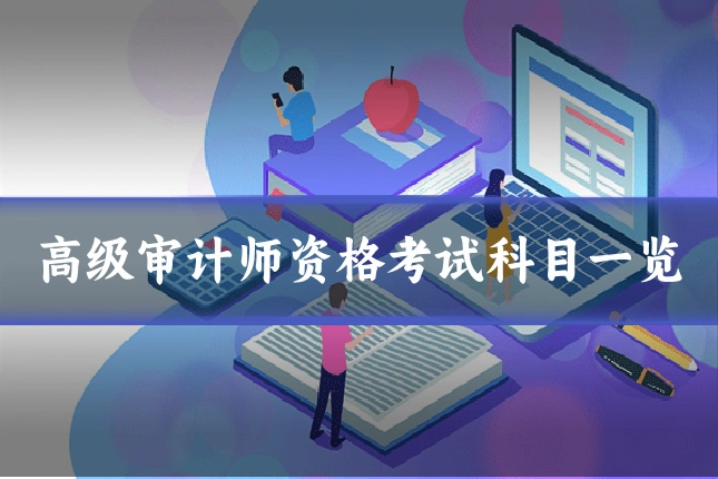 高级审计师资格考试科目一览