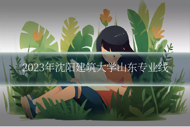 2023年沈阳建筑大学山东专业线