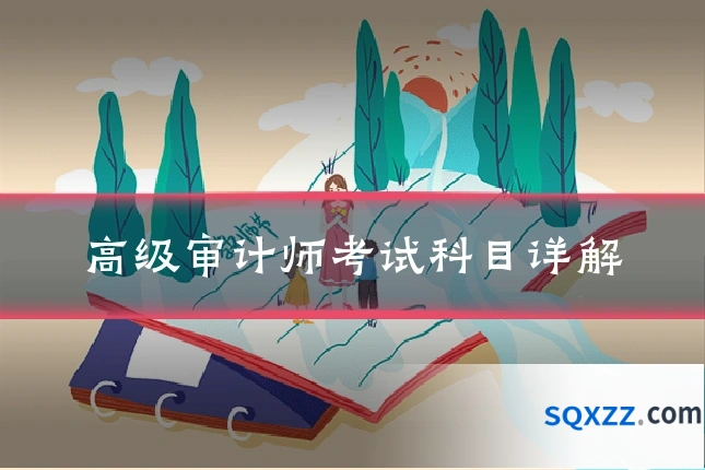 高级审计师考试科目详解