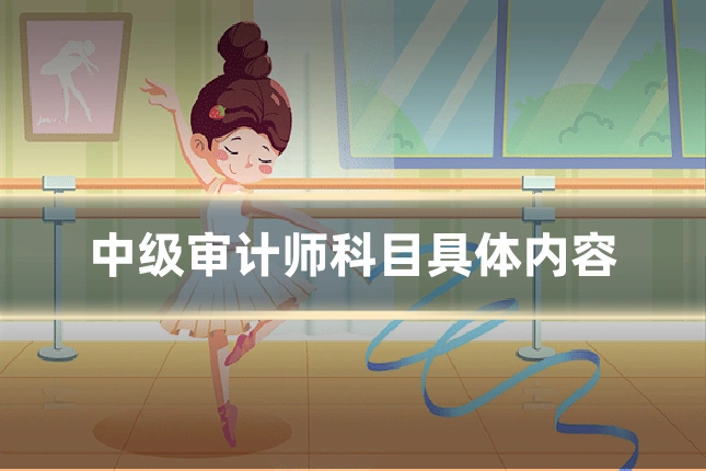 中级审计师科目具体内容