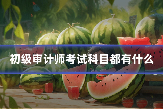 初级审计师考试科目都有什么