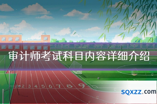 审计师考试科目内容详细介绍