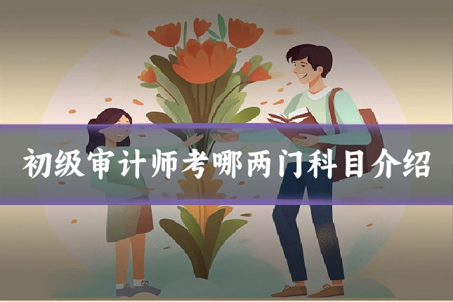初级审计师考哪两门科目介绍