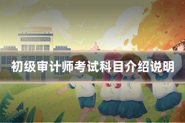 初级审计师考试科目介绍说明