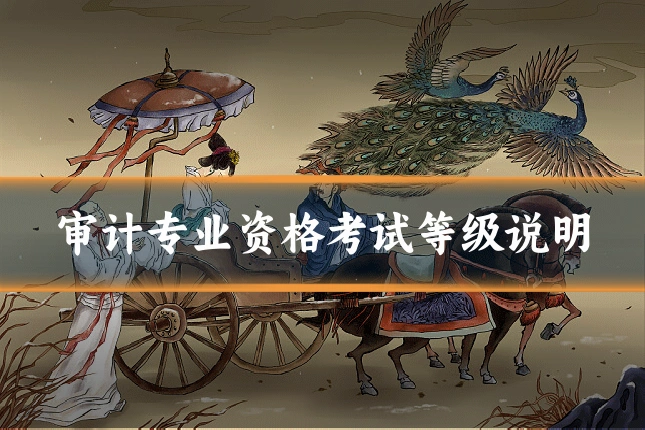 审计专业资格考试等级说明