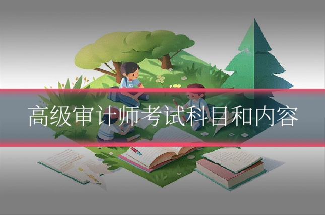 高级审计师考试科目和内容