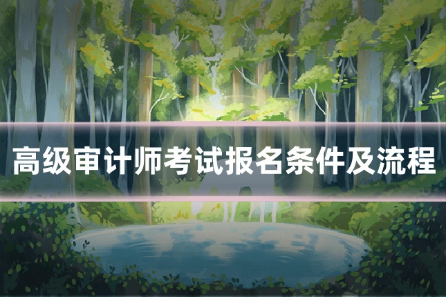 高级审计师考试报名条件及流程