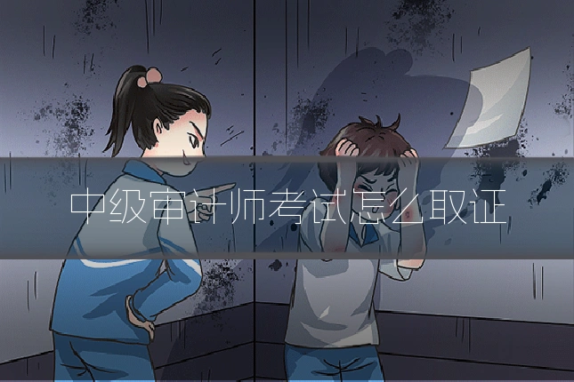 中级审计师考试怎么取证