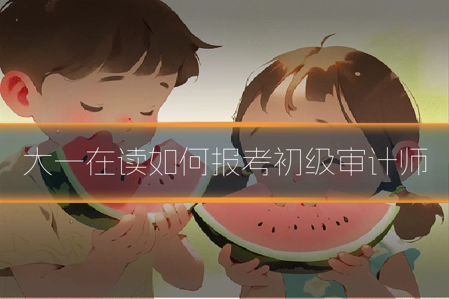大一在读如何报考初级审计师
