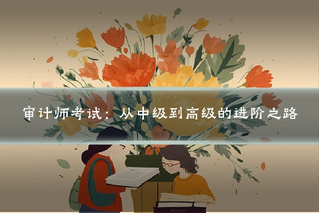 审计师考试:从中级到高级的进阶之路