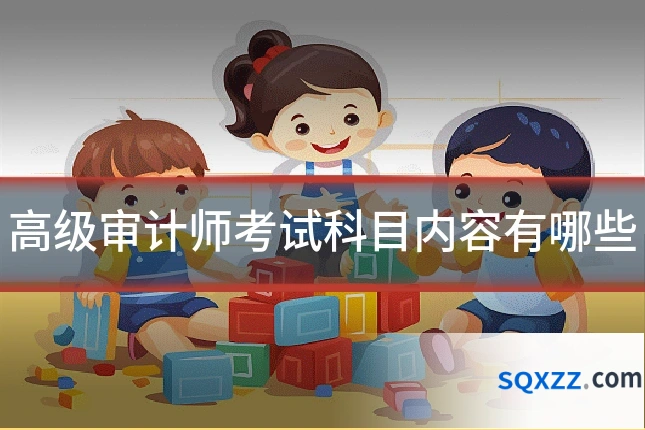 高级审计师考试科目内容有哪些