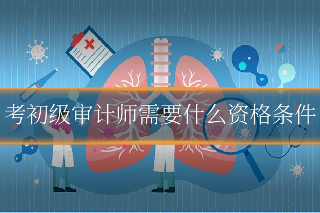 考初级审计师需要什么资格条件