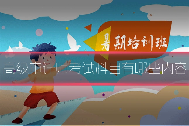 高级审计师考试科目有哪些内容