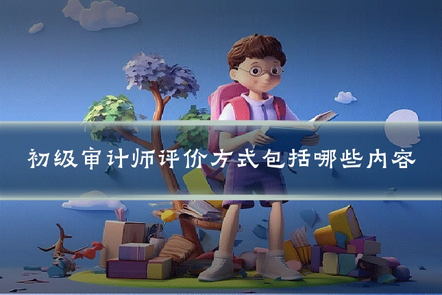 初级审计师评价方式包括哪些内容