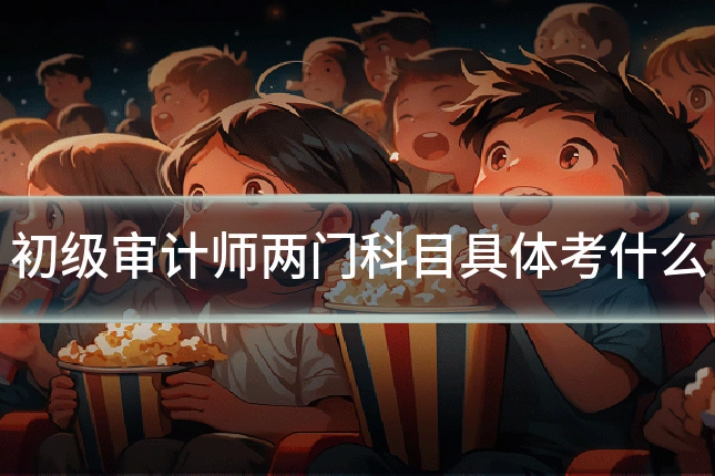 初级审计师两门科目具体考什么