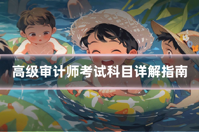 高级审计师考试科目详解指南
